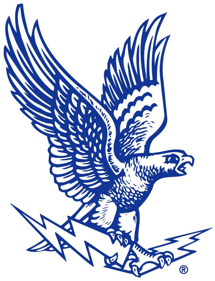 Air Force Falcons 2020-2022 Secondary Logo v2 diy iron on heat transfer